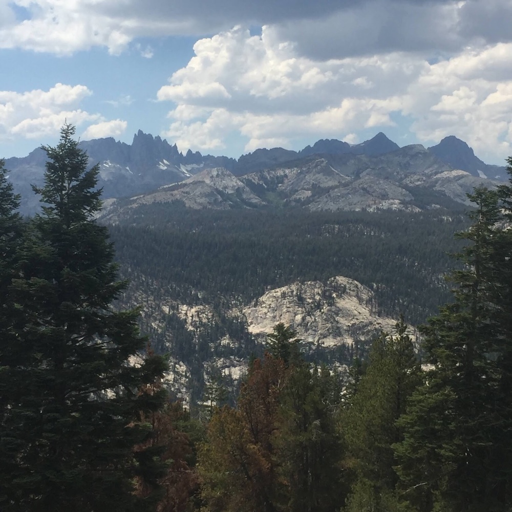 Meet your Posher, Amy marshall